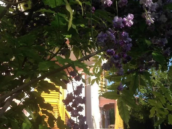 Casa Righetti Liguria * La Spezia