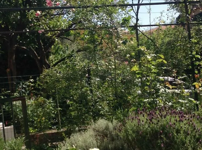 Διαμέρισμα Casa Righetti Liguria *