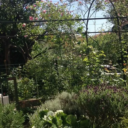 Appartamento Casa Righetti Liguria *